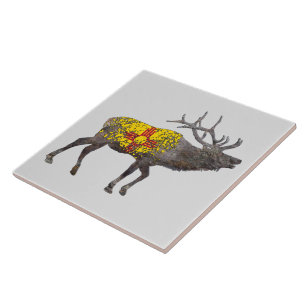 CARREAU NOUVEAU MEXIQUE ELK
