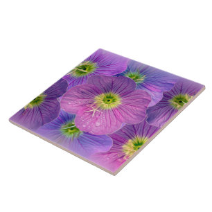 Carreau Nuances de violet