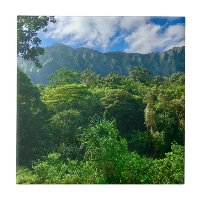 Carreau Oahu, forêt tropicale d'Hawaii (Devant)
