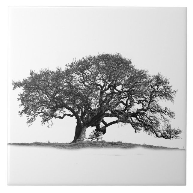 CARREAU OAK NOIR (Devant)