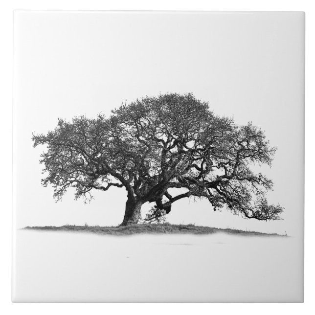 CARREAU OAK TREE À SILHOUETTE  (Devant)