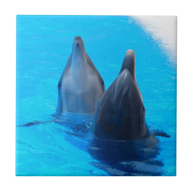 Carreau océan marin de poissons de dauphin de bottlenose (Devant)