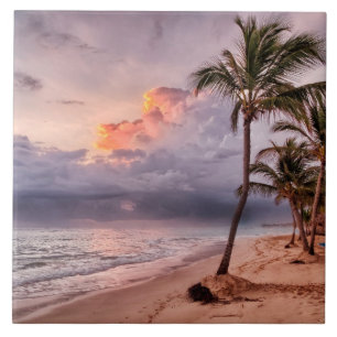 Carreau Ocean Waves Sandy Beach Sunset