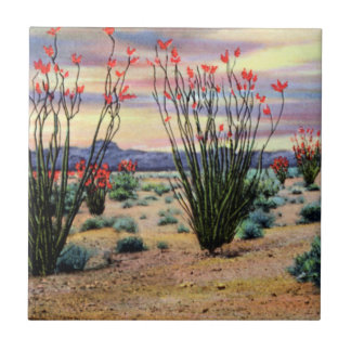 Carreau Ocotillos de désert de l'Arizona en fleur