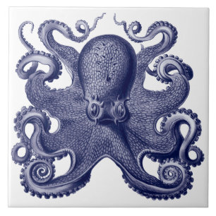 Carreau Octopus bleu et blanc