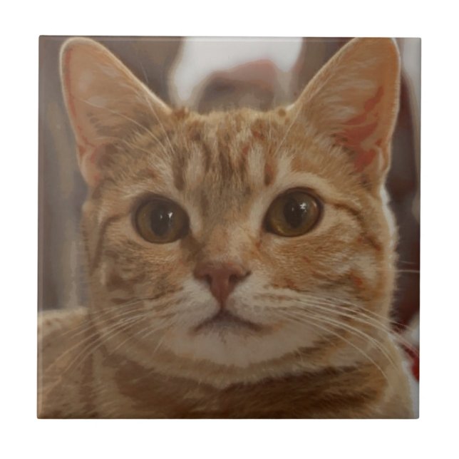 Carreau Oeil brun de chat  (Devant)
