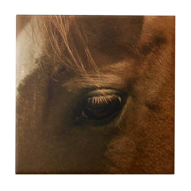 Carreau Oeil de cheval (Devant)