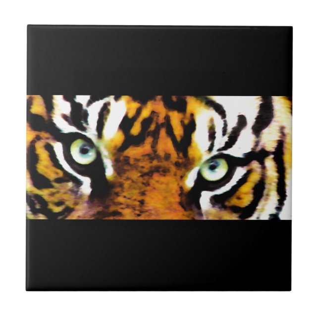 CARREAU OEIL DE TIGRE_ (Devant)