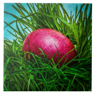 Carreau OEuf de Pâques rouge dans l'herbe
