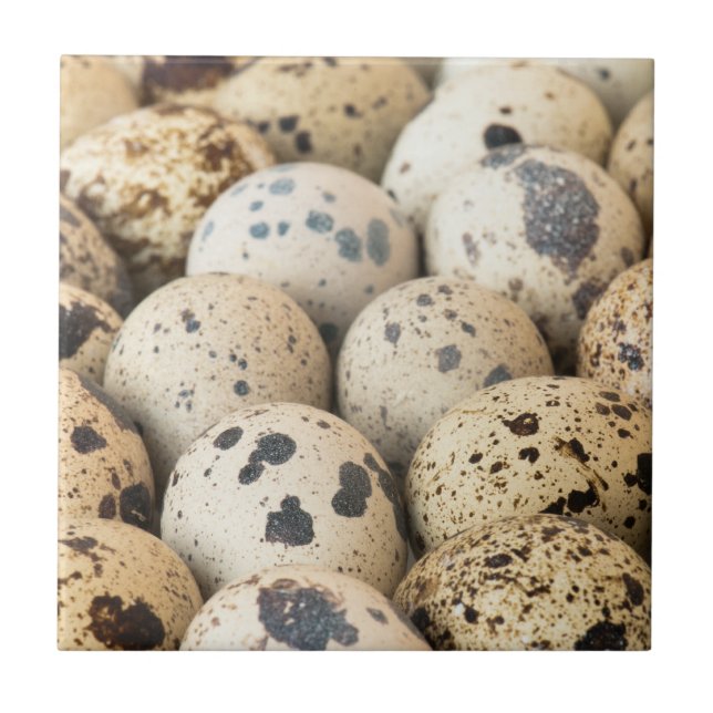 Carreau Oeufs de caille (Devant)