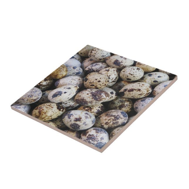 Carreau Oeufs de caille (Côté)