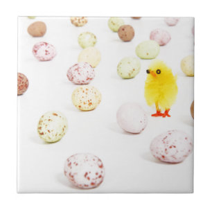 Carreau oeufs de poule