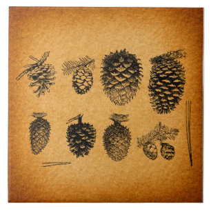 Carreau OEuvre d'antiquité Russe Pinecones Pine Cone