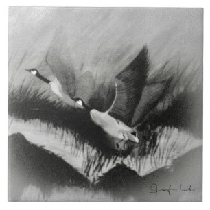 Carreau Oies dans la tourbière