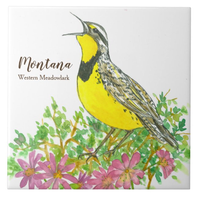Carreau Oiseau chanteur de Meadowlark du Montana (Devant)