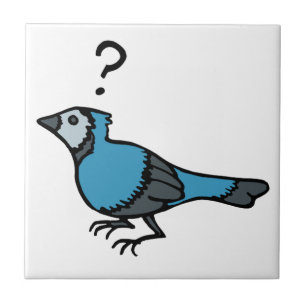 Carreau Oiseau confuse