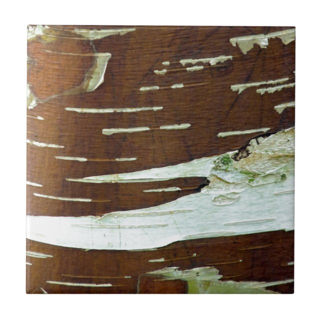 Carreau Oiseau d'Arbre Naturel (Devant)