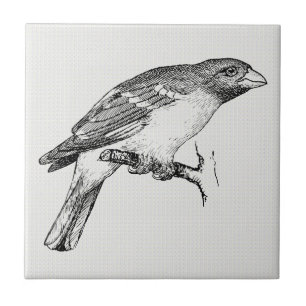 Carreau Oiseau de dessin en ligne noire et blanche