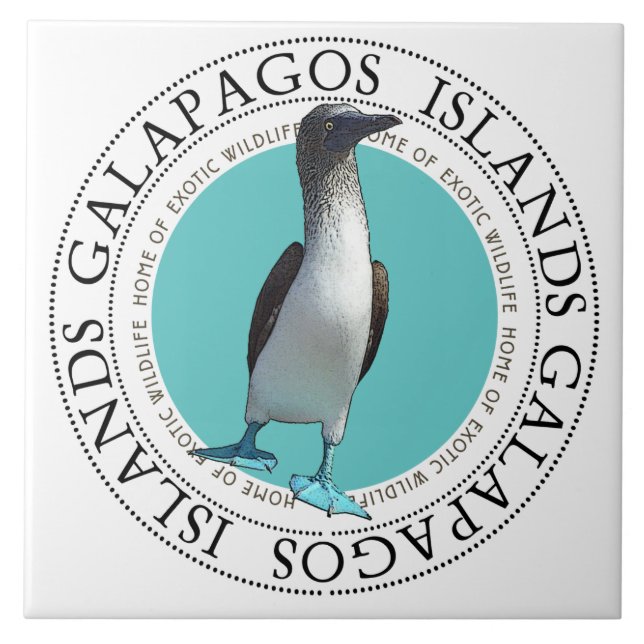 Carreau Oiseau de Galapagos au pied bleu (Devant)