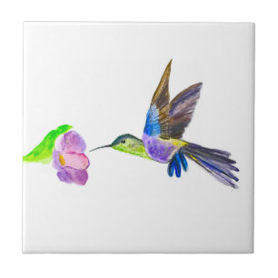 Carreau Oiseau de mer Aquarelle couleur couleur