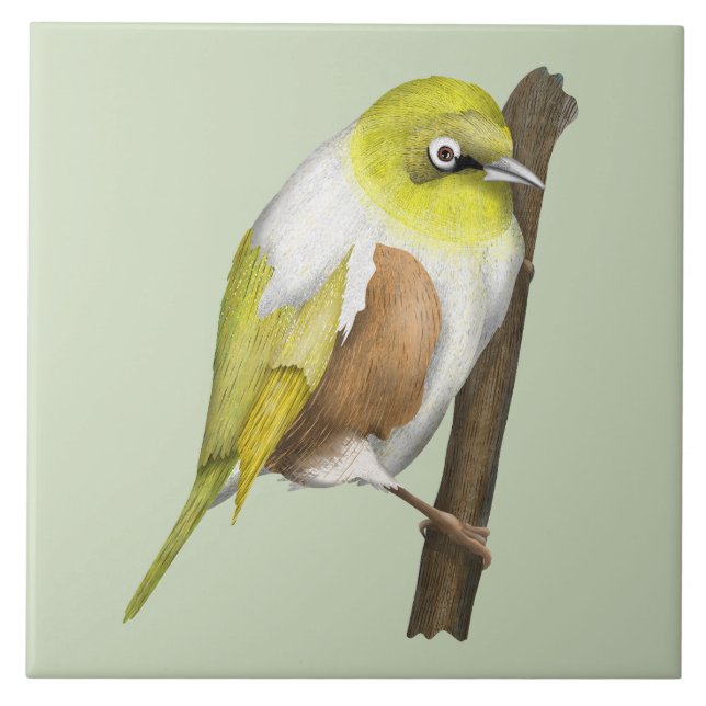 Carreau Oiseau de Sillvereye tauhou (Devant)