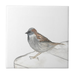 Carreau Oiseau du Bruant Faune Aquarelle Nature mignonne