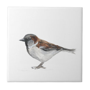 Carreau Oiseau du Bruant Faune Aquarelle Nature mignonne