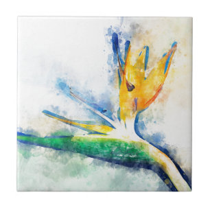 Carreau Oiseau Du Paradis Aquarelle Art