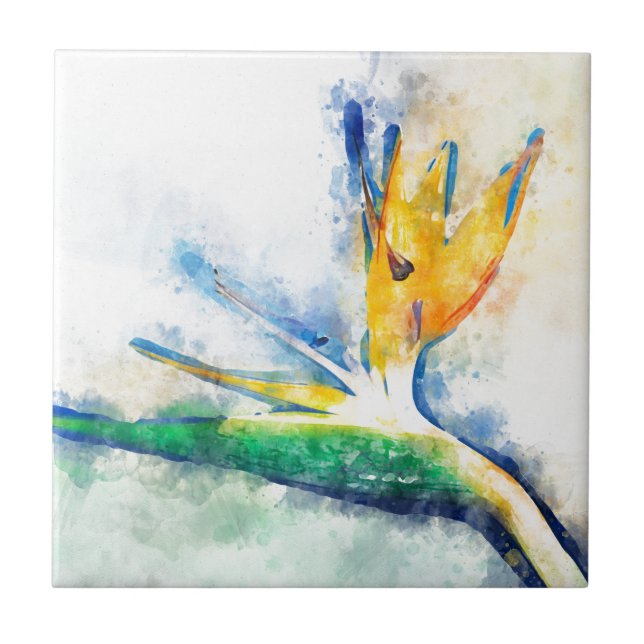 Carreau Oiseau Du Paradis Aquarelle Art (Devant)