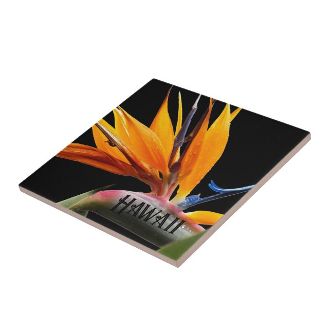 Carreau Oiseau du Paradis Fleur Plante Hawaï (Côté)