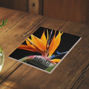 Carreau Oiseau du Paradis Fleur Plante Hawaï