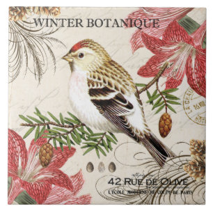 Carreau oiseau français vintage moderne d'hiver