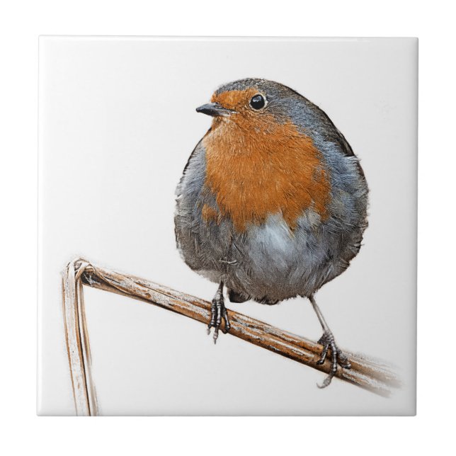 Carreau Oiseau rouge de faune de sein de Robin (Devant)