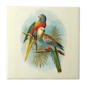 CARREAU OISEAU TROPICALE DE PARROT 10