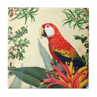 CARREAU OISEAU TROPICALE DE PARROT 8