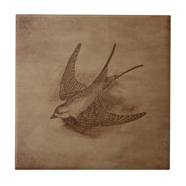 Carreau Oiseau Vintage à vapeur (Devant)