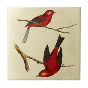 Carreau Oiseau vintage de FLYCATCHER