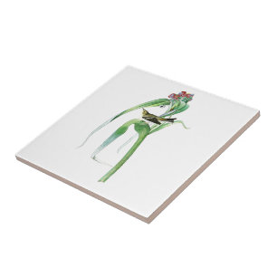 Carreau Oiseaux Amérique de John James Audubon de la
