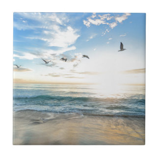 Carreau oiseaux au-dessus de la plage
