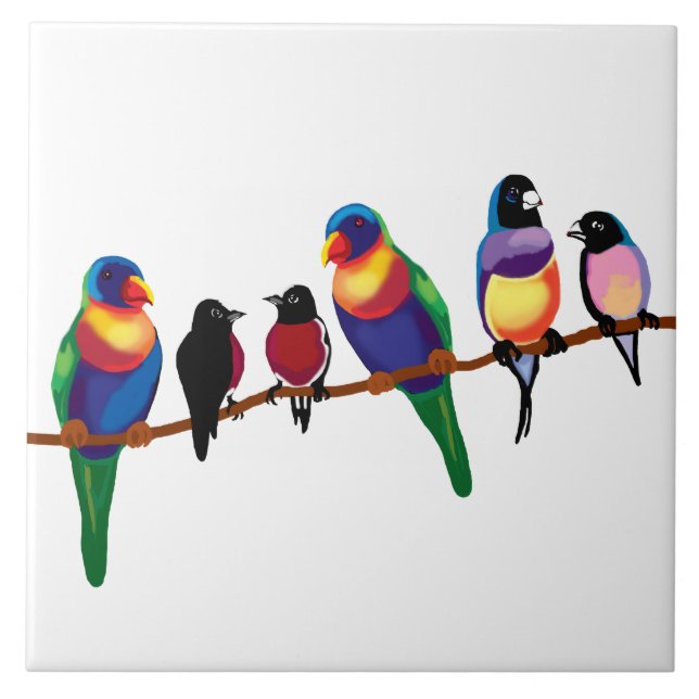 Carreau Oiseaux australiens (Devant)