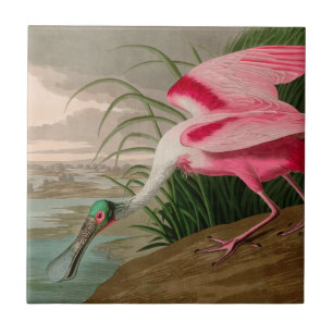 Carreau Oiseaux d'Amérique de spatule de rose Audubon Imp
