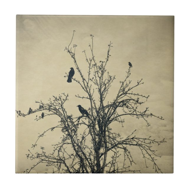Carreau Oiseaux dans l'arbre   -    (Devant)