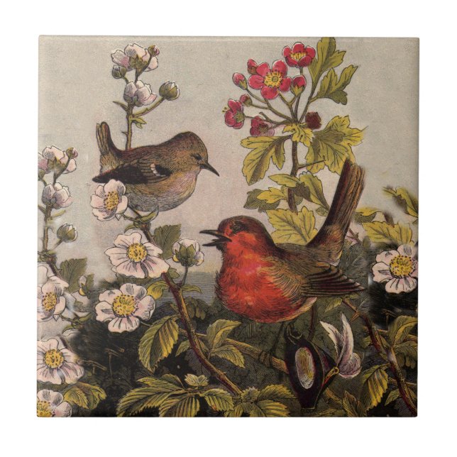 Carreau Oiseaux de printemps Robin Oiseaux rouges (Devant)