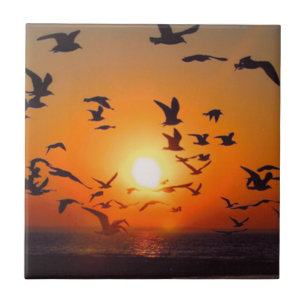 Carreau Oiseaux du lac Érié Coucher de soleil orange Photo
