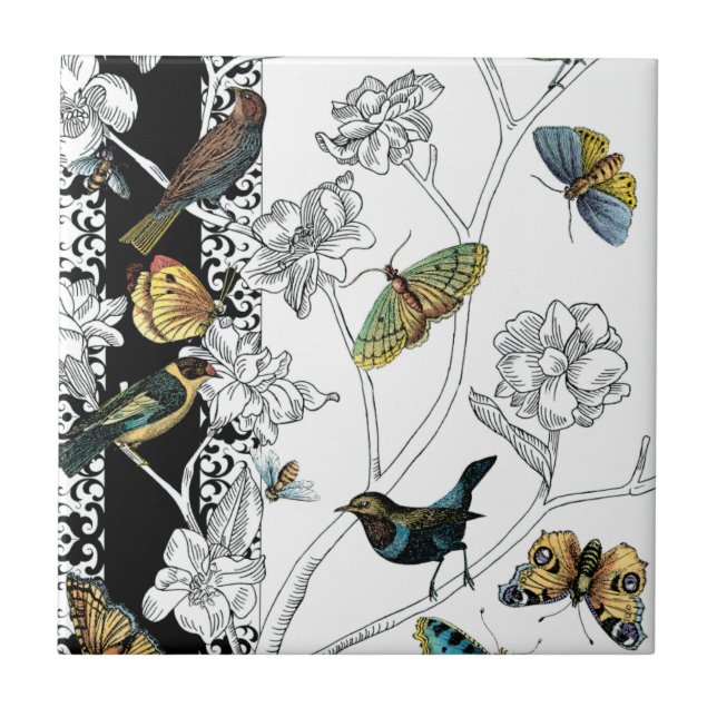 Carreau Oiseaux et papillons sur un Arrière - plan noir et (Devant)