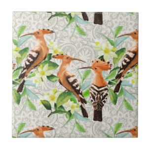 Carreau Oiseaux exotiques sur la dentelle