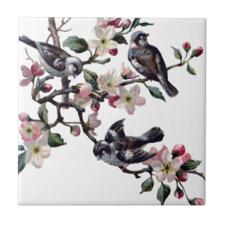 Carreau Oiseaux vintages