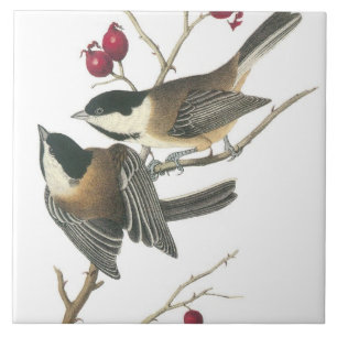 Carreau Oiseaux vintages