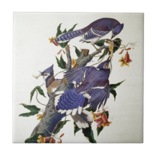 Carreau Oiseaux vintages