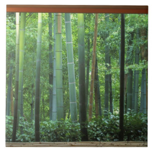 Carreau Okochi Sanso, Arashiyama, Kyoto, Japon 3